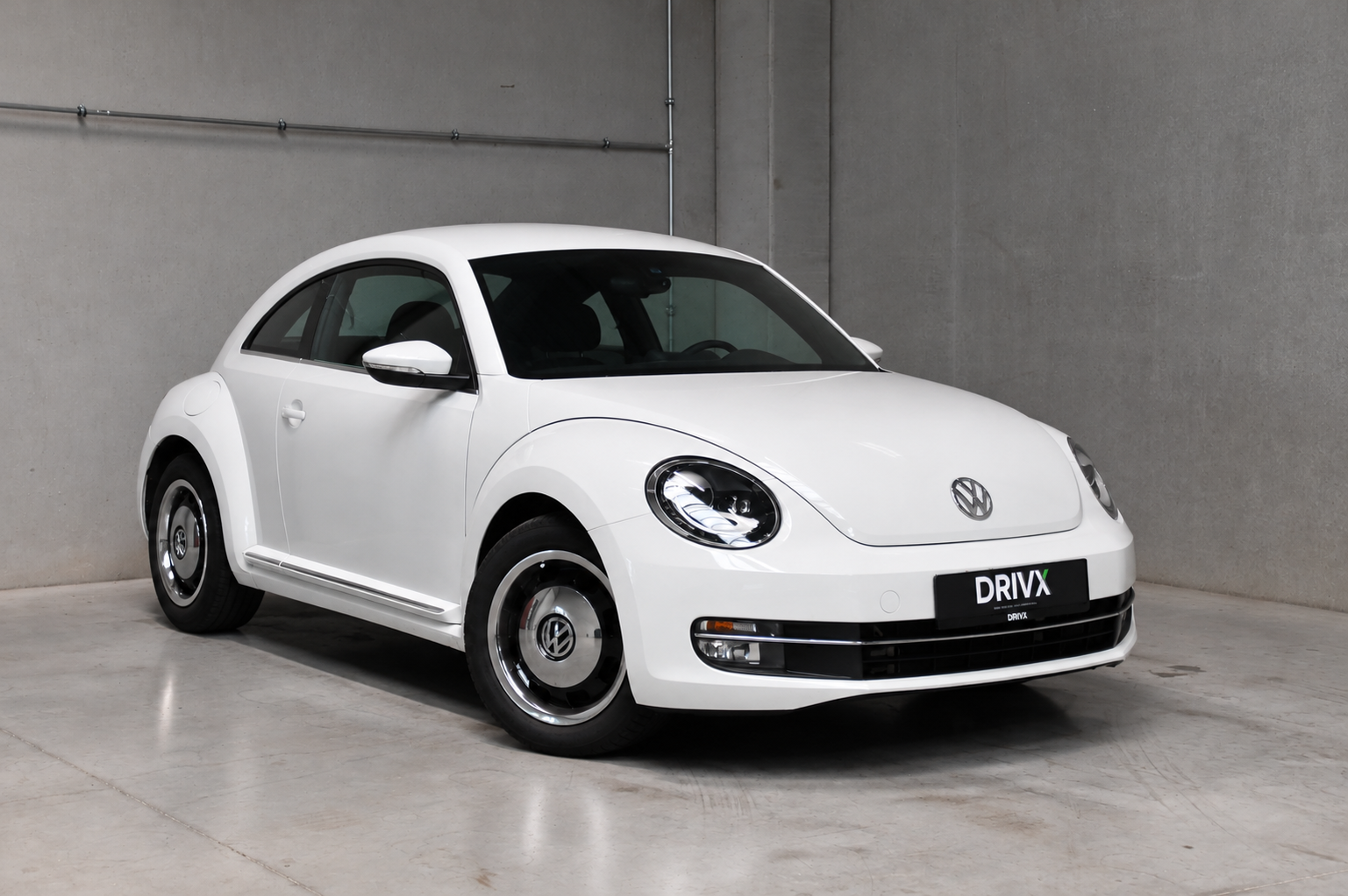 Beetle